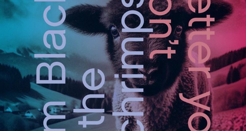 Jim Black & The Schrimps: Better You Don't (Intakt; 2025) Por Carlos Lara [Grabación de jazz] - Tomajazz - Better You Don't (Intakt; 2025) es lo nuevo de Jim Black & The Schrimps. Carlos Lara repasa la grabación. Participan Jim Black, Asger Nissen, Julius Gawlik,  Felix Henkelhausen