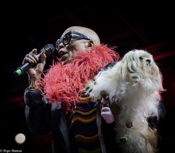 Marc Ribot Hurry Red Telephone - Dee Dee Bridgewater Quartet: We Exist! (60 Festival de Jazz de San Sebastián 2025. 2025-07-25) Por Antonio Torres (texto y fotos), y Pepe Mateos (fotos) [Concierto de jazz] - Tomajazz - Marc Ribot Hurry Red Telephone - Dee Dee Bridgewater Quartet: We Exist! actuaron en el 60 Festival de Jazz de San Sebastián 2025. Antonio Torres y Pepe Mateos repasan la cita doble. Actuaron Marc Ribot, Ava Mendoza, Sebastian Steinberg, Chad Taylor, Dee Dee Bridgewater, Carmen Staaf, Rosa Brunello, Evita Polidoro 