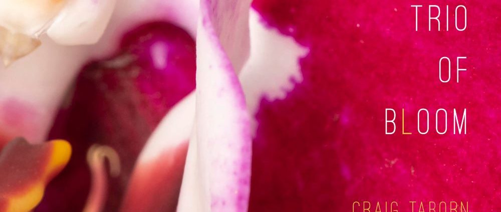 Trio Of Bloom: Trio of Bloom (Pyroclastic Records; 2025) Por Pachi Tapiz [Grabación de jazz] - Tomajazz - Trio of Bloom (Pyroclastic Records; 2025) es el estreno del trío del mismo nombre. Pachi Tapiz repasa la grabación. Trio of Bloom son Nels Cline, Craig Taborn, Marcus Gilmore