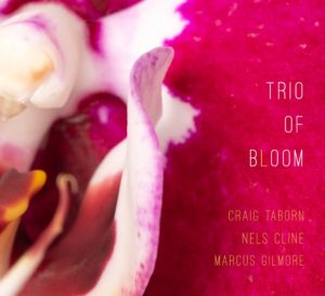 Trio Of Bloom: Trio of Bloom (Pyroclastic Records; 2025) Por Pachi Tapiz [Grabación de jazz] - Tomajazz - Trio of Bloom (Pyroclastic Records; 2025) es el estreno del trío del mismo nombre. Pachi Tapiz repasa la grabación. Trio of Bloom son Nels Cline, Craig Taborn, Marcus Gilmore