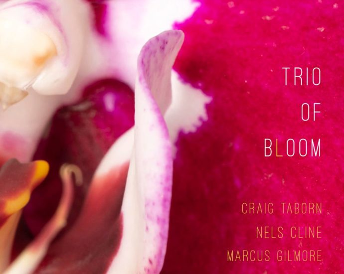 Trio Of Bloom: Trio of Bloom (Pyroclastic Records; 2025) Por Pachi Tapiz [Grabación de jazz] - Tomajazz - Trio of Bloom (Pyroclastic Records; 2025) es el estreno del trío del mismo nombre. Pachi Tapiz repasa la grabación. Trio of Bloom son Nels Cline, Craig Taborn, Marcus Gilmore