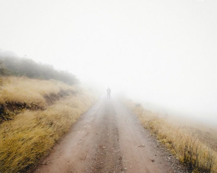 Noah Preminger: Ballads (Chill Tone; 2025) Por Pachi Tapiz [Grabación de jazz] - Tomajazz - Ballads (Chill Tone; 2025) es la nueva grabación de Noah Preminger. Pachi Tapiz repasa la grabación. Con