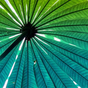 Universos Paralelos: emisión 2 de octubre de 2025 (UP.T.31 P.03) [Noticias de jazz] - Tomajazz - Ramiro Zayas, Mr. Mayo, Enemy, Joonas Tuuri Quartet, Sunil López suenan en la edición del 2 de octubre de 2025 de Universos Paralelos, el programa de radio de Sergio Cabanillas #Noticiasdejazz