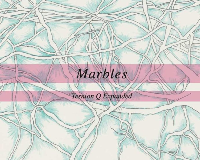 Anne Mette Iversen Ternion Q Expanded: Marbles (Brooklyn Jazz Underground Records; 2025) Por Pachi Tapiz [Grabación de jazz] - Tomajazz - Marbles (Brooklyn Jazz Underground Records; 2025) es la nueva grabación de Anne Mette Iversen al frente del septeto Ternion Q Expanded. Pachi Tapiz repasa la grabación. Con Percy Pursglove, Silke Eberhard, Julius Gawlik, Morris Kliphuis, Geoffroy De Masure, Anne Mette Iversen, Roland Schneider