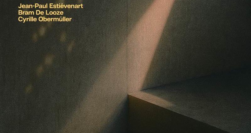 Gert-Jan Dreessen: Angle of Incidence (Hypnote Records; 2025) Por Pachi Tapiz [Grabación de jazz] - Tomajazz - Angle of Incidence (Hypnote Records; 2025) es la nueva grabación de Gert-Jan Dreessen, Pachi Tapiz repasa la obra. Con Gert-Jan Dreessen, Bram De Looze, Jean-Paul Estiévenart, Cyrille Obermüller