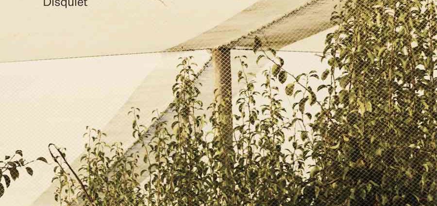 20251010The Necks: Disquiet (Northern Spy; 2025) Por Pachi Tapiz [Grabación de jazz] - Tomajazz - Disquiet (Northern Spy; 2025) es el nuevo triple CD de The Necks. Pachi Tapiz repasa la grabación. The Necks son Tony Buck, Chris Abrahams, Lloyd Swanton