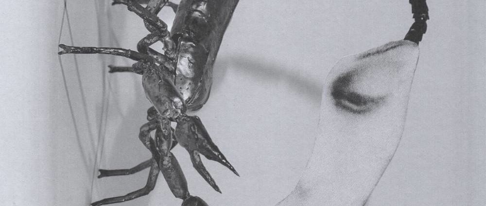 Tortoise: Touch (International Anthem Recordings; 2025) Por Pachi Tapiz [Grabación de jazz] - Tomajazz - Touch (International Anthem Recordings; 2025) es el regreso de Tortoise. Pachi Tapiz repasa la grabación.