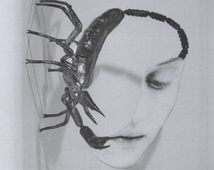 Tortoise: Touch (International Anthem Recordings; 2025) Por Pachi Tapiz [Grabación de jazz] - Tomajazz - Touch (International Anthem Recordings; 2025) es el regreso de Tortoise. Pachi Tapiz repasa la grabación.