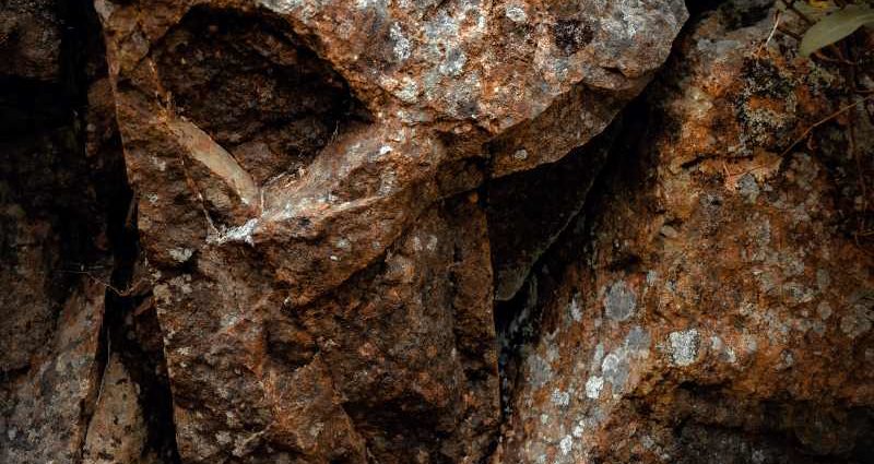 Zanussi 3: A Keen Beast (Sauajazz; 2025) Por Pachi Tapiz [Grabación de jazz] - Tomajazz - A Keen Beast (Sauajazz; 2025) es la nueva grabación de Zanussi 3. Pachi Tapiz repasa la grabación