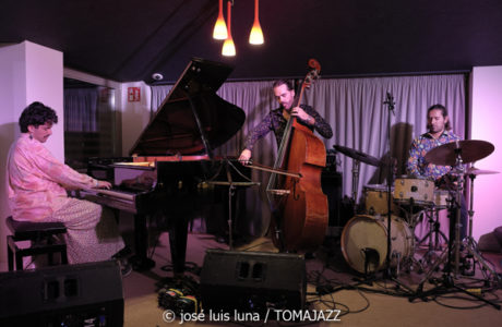 Endless Trío (10 Fira B! Hotel Saratoga. Palma. 2025-11-06)  Por José Luis Luna Rocafort [INSTANTZZ AKA Galería fotográfica AKA Fotoblog de jazz, impro… y algo más] - Tomajazz - Endless Trío actuó en el 10 Fira B! en Hotel Saratoga de Palma, el 6 de noviembre de 2025. José Luis Luna Rocafort lo retrata en INSTANTZZ. Actuaron Pablo Costas, Carlos Ródenas, Alessandro Campobasso