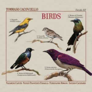Tommaso Iacoviello: Birds (GleAM Records; 2025) - Tomajazz