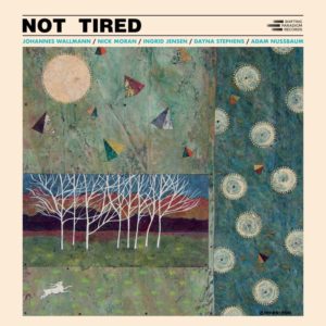 Johannes Wallmann: Not Tired (Shifting Paradigm Records; 2025) Por Pachi Tapiz [Grabación de jazz] - Tomajazz - Not Tired (Shifting Paradigm Records; 2025) es la nueva grabación de Johannes Wallmann, Pachi Tapiz repasa la grabación. Con Johannes Wallmann, Nick Moran, Ingrid Jensen, Dayna Stephens, Adam Nussbaum, Mitchell Shiner