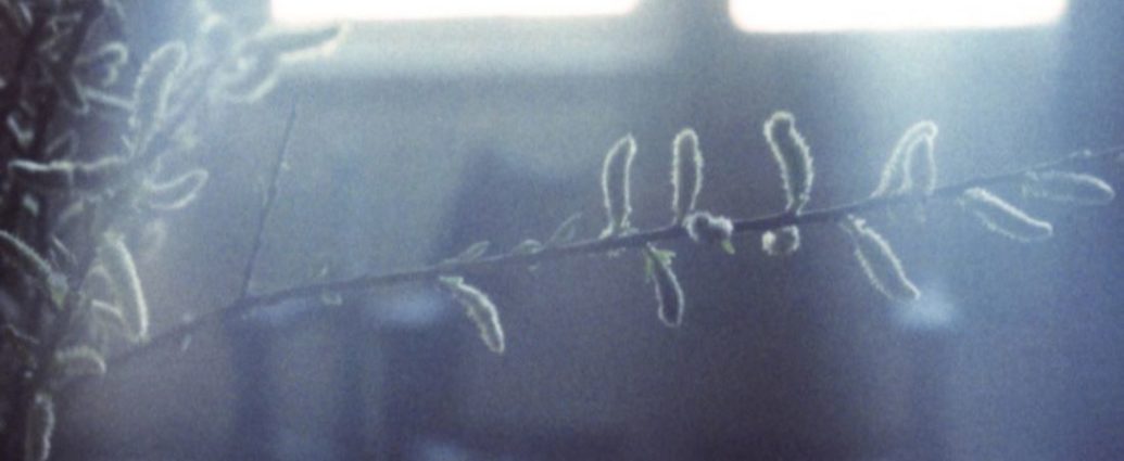 Meinrad Kneer & Albert van Veenendaal: The Munderkingen Sessions, Part 2 (Evil Rabbit Records; 2025) Por Pachi Tapiz [Grabación de jazz] - Tomajazz - The Munderkingen Sessions, Part 2 (Evil Rabbit Records; 2025) de Meinrad Kneer & Albert van Veenendaal es la continuación del proyecto del pianista y el contrabajista, 20 años después. Pachi Tapiz repasa la grabación