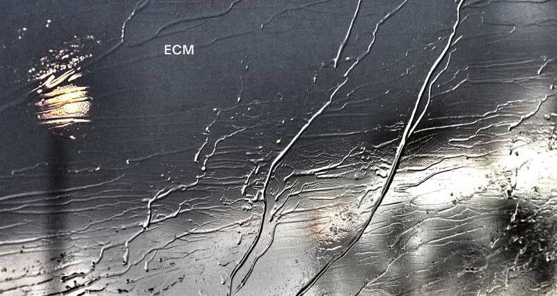 Craig Taborn, Tomeka Reid & Ches Smith: Dream Archives (ECM; 2026) Por Carlos Lara [Grabación de jazz] - Tomajazz - Dream Archives (ECM; 2026) es lo nuevo de Craig Taborn, Tomeka Reid & Ches Smith. Carlos Lara repasa la grabación