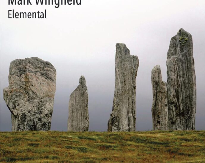 Mark Wingfield: Elemental (Dark Energy Music, MoonJune records 2025) Por Enrique Farelo [Grabación de jazz] - Tomajazz - Elemental (Dark Energy Music, MoonJune records 2025) es la nueva grabación en solitario de Mark Wingfield. Enrique Farelo repasa la grabación